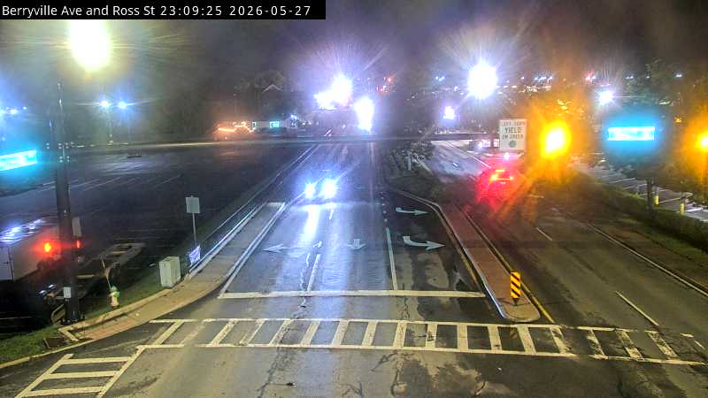 Live webcam screenshot