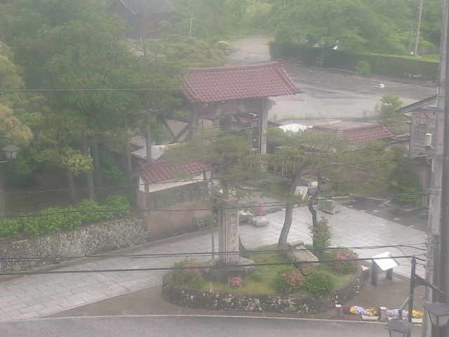 Live webcam screenshot