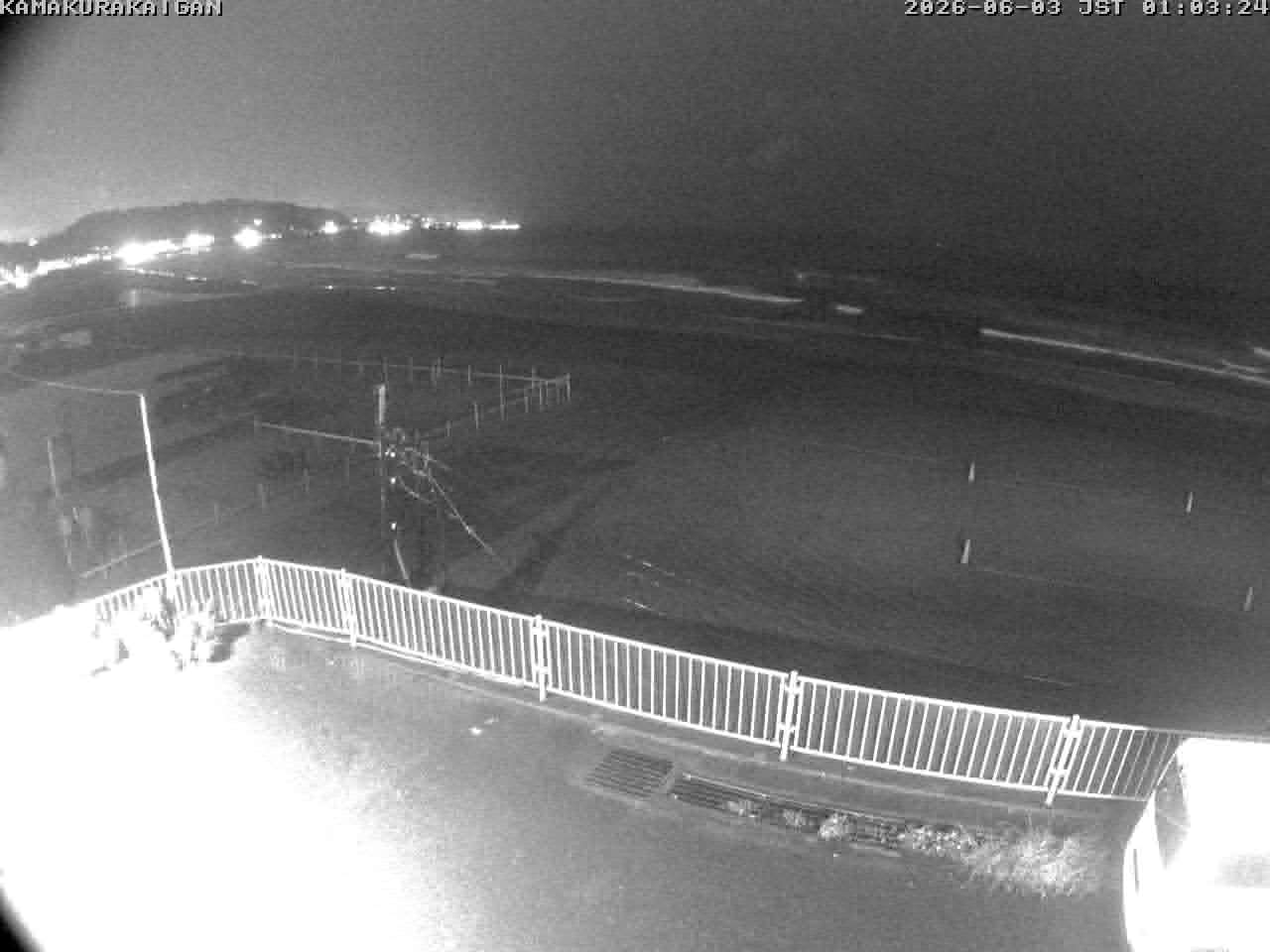 Live webcam screenshot